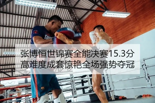 张博恒世锦赛全能决赛15.3分高难度成套惊艳全场强势夺冠